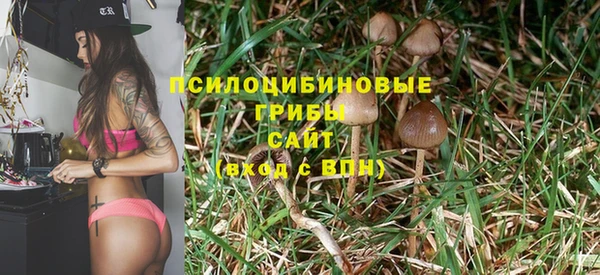 MESCALINE Козловка