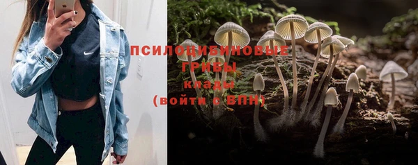 альфа пвп Кодинск