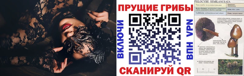 Купить  Ефремов  Псилоцибиновые грибы MAGIC MUSHROOMS 